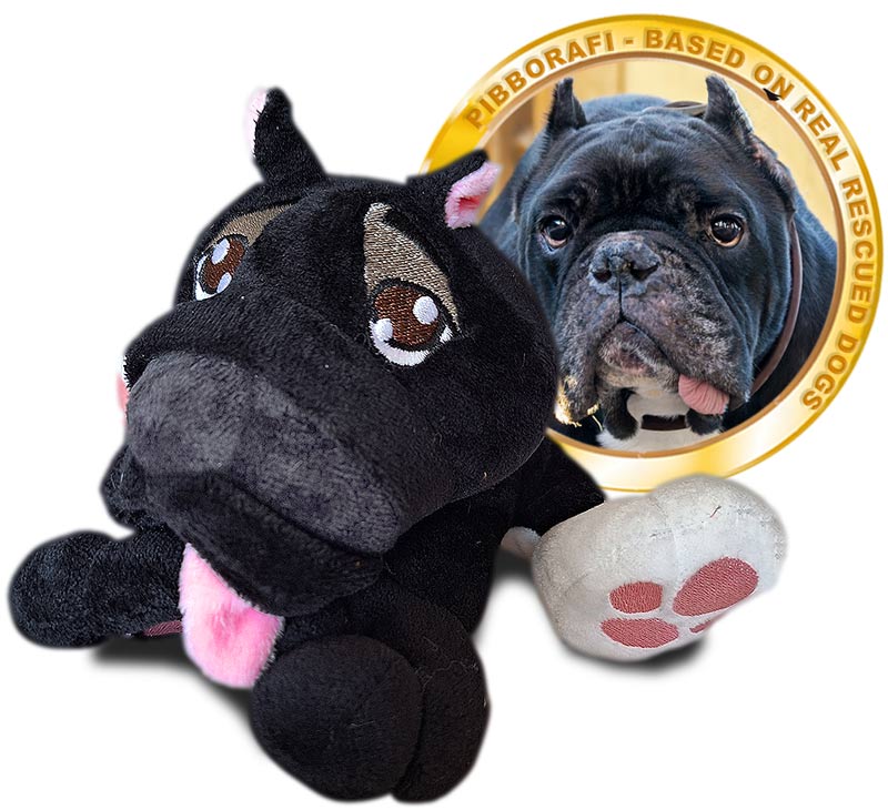 Pibborafi Rescue Heroes - Piggie, Bully Breed Rescue